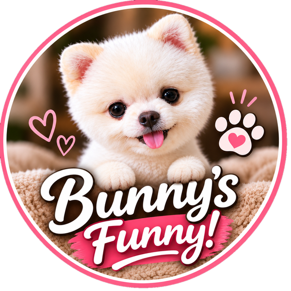 Bunny’s Funny logo: a fluffy white Pomeranian puppy with her tongue out and paws on a fleece blanket